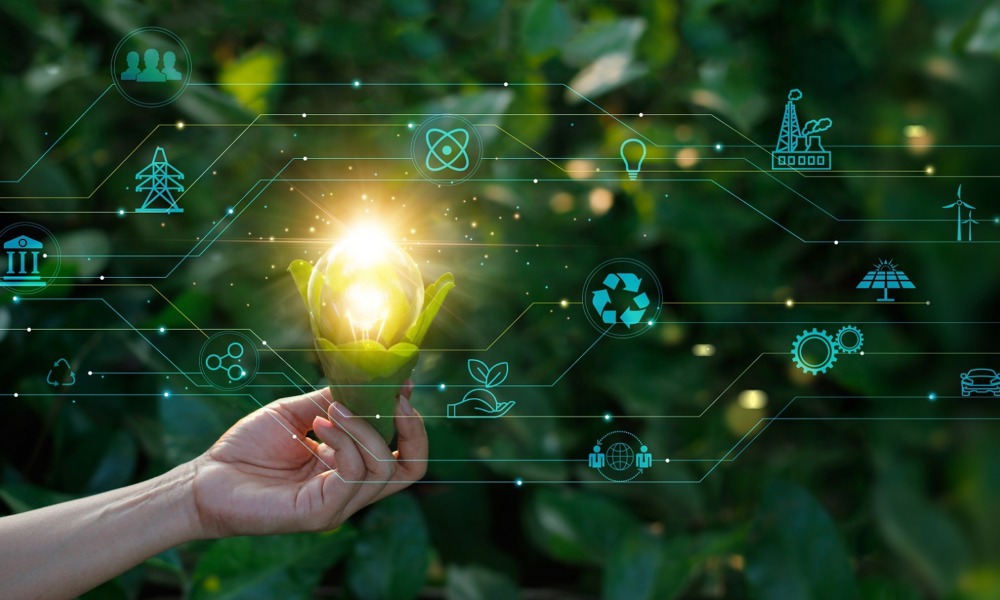 Bold and large-scale project grant: hand holding a lightbulb with graphics of modern and future tech branching out in front of background of leaves