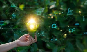 Bold and large-scale project grant: hand holding a lightbulb with graphics of modern and future tech branching out in front of background of leaves