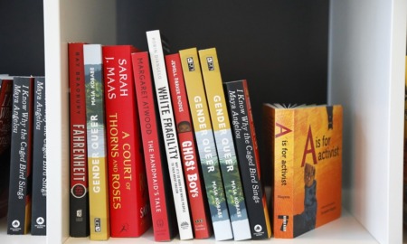 School library book bans seen as targeting LGBTQ content: row of books on a white shelf